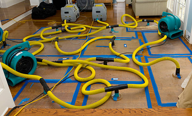Professional Structural Drying And Dehumidification technician working in Nobleton, FL